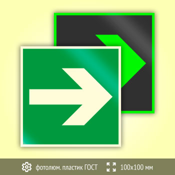 Знак E02-01 «Направляющая стрелка» (фотолюминесцентный пластик ГОСТ 34428-2018, 100х100 мм)